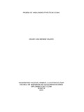 oimendezv.pdf.jpg