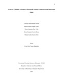 cchenaoo.pdf.jpg