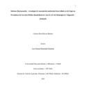 cdreyesb.pdf.jpg