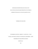 ysbolanosd.pdf.jpg