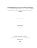 jo10sua522.pdf.jpg