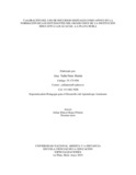 ayneirah.pdf.jpg