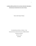 tlholguinp.pdf.jpg