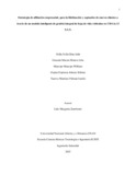 wmancipem.pdf.jpg