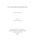 gpsierraa.pdf.jpg