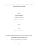 lmcastroes.pdf.jpg