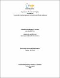1045507431_Experiencia.pdf.jpg