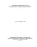 jdcardenasl.pdf.jpg