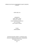 1117539069.pdf.jpg