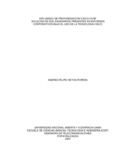 afhoyosp.pdf.jpg