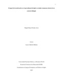 mmparadaa.pdf.jpg