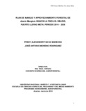 TESIS  FINAL SANTUARIO  S.pdf.jpg