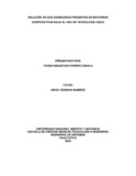 ysforeroz.pdf.jpg