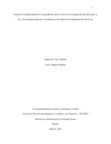 amcelya.pdf.jpg