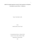 sygamboa.pdf.jpg