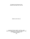 rlincerc.pdf.jpg