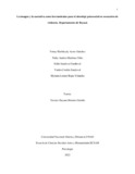 Yhaceros.pdf.jpg