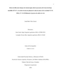 JPVelezGarcia.pdf.jpg