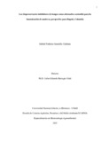 gjaramilloc.pdf.jpg
