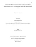 yycastillog.pdf.jpg