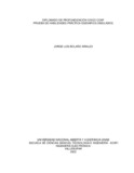 jlbolanoa.pdf.jpg