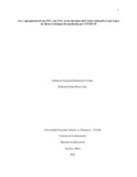 reruizca.pdf.jpg