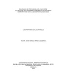 lfcallej.pdf.jpg
