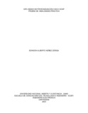 enunezz.pdf.jpg
