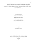 navelozao.pdf.jpg