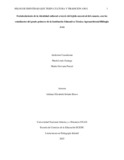 mgpascalp.pdf.jpg