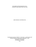 eacastanedari.pdf.jpg