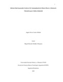 ascuervob.pdf.jpg