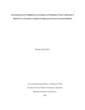 marios1 (1).pdf.jpg
