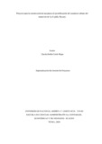 cscortezr.pdf.jpg