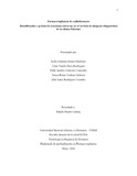 cyolaver.pdf.jpg