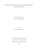 ylcoronador.pdf.jpg