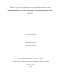 jaroserop.pdf.jpg