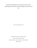 ddmartinezvi.pdf.jpg