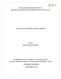 lsuarezper.pdf.jpg