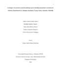 acgiraldogo.pdf.jpg