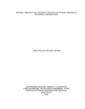 jnpirajanc.pdf.jpg