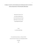 smreyesm.pdf.jpg