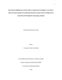 ypnarvaeza.pdf.jpg