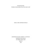 mibargueng.pdf.jpg