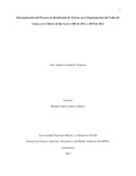 jacastanedava.pdf.jpg