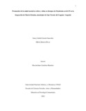 ebarrerar.pdf.jpg