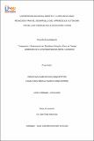40797128.pdf.jpg