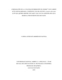 verodriguezpa.pdf.jpg