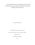nemogollonc.pdf.jpg