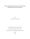 jrcamachoc.pdf.jpg
